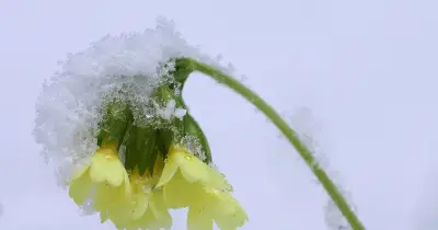 Osterferien in Bayern starten mit Regen, Schnee und Glätte auf den Straßen