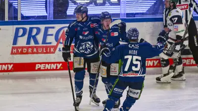 Play-off-Desaster: Eisbären erleiden klatschende Niederlage in Straubing