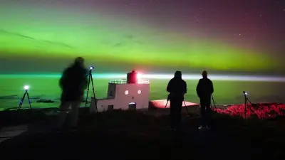 Polarlichter als Irrlicht? Wie Sonneneruptionen Buckelwal Timmy in die Ostsee führten