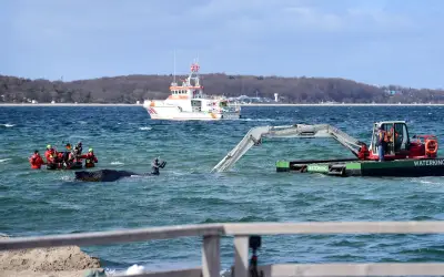 Rettungsaktion für gestrandeten Buckelwal vor Timmendorfer Strand erneut abgebrochen