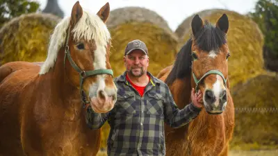 Rheinisch-Deutsches Kaltblut: Traditionelle Landwirtschaft trifft auf moderne Nachhaltigkeit