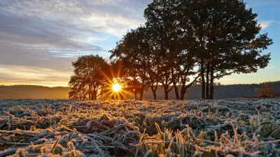 Sachsen-Anhalt: Frostige Nächte und leichter Wind – Regen macht kurze Pause