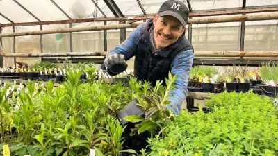 Saisonstart in Grünow: Gärtnerei Helenion öffnet mit Raritäten für Selbstversorger