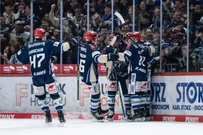 Schwenninger Wild Wings erzwingen Entscheidungsspiel gegen Wolfsburg im Eishockey