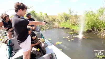 Streamer in Florida löst Entsetzen aus: Airboat-Angriff auf Alligator