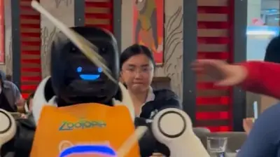 Tanzroboter außer Kontrolle: Kalifornisches Restaurant erlebt chaotische Robotershow