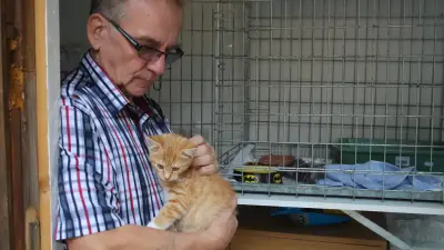 Tierschutzverein Neubrandenburg in der Krise: Mitglieder fordern neuen Vorsitz