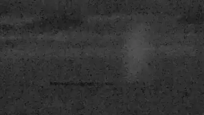 Timmy ist frei! Buckelwal schwimmt wieder in der Ostsee vor Wismar