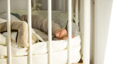 Tragödie in Michigan: Familienhund tötet fünftägiges Baby in Novi bei Detroit