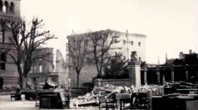 Trümmerfunde im Rostocker Park: Historische Möbelstücke aus Kriegszeiten entdeckt