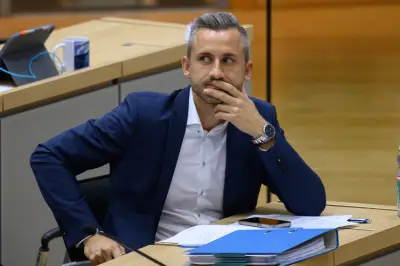 Umfrage vor Landtagswahl: AfD führt in Sachsen-Anhalt, vier Parteien bangen um Einzug