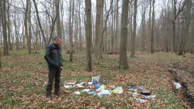 Woldeforst bei Demmin: Illegale Müllkippe bedroht wertvolles Wald-Biotop