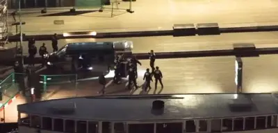 Wolf beißt Frau in Hamburg: Politiker streiten über Umgang mit dem Raubtier