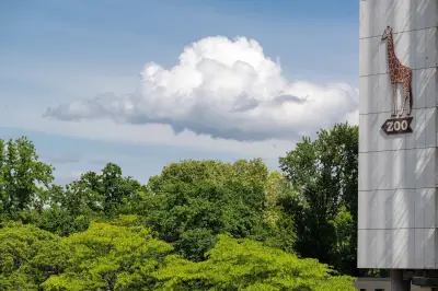 Zoo Berlin gibt Entwarnung: Keine weiteren Newcastle-Krankheitsfälle bei Vögeln