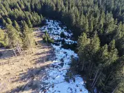 10 Millionen Euro für Naturschutz im Thüringer Wald: Moore, Bäche und Wiesen im Fokus