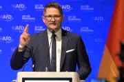 AfD Brandenburg: Springer als Landeschef bestätigt - Strebt Alleinregierung an