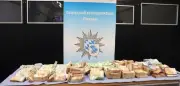 Bayerische Grenzpolizei entdeckt Millionen-Bargeld bei Schleierfahndung nahe Passau