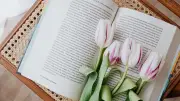 Bücherfrühling in Neubrandenburg: 30 Veranstaltungen zum UNESCO-Welttag des Buches