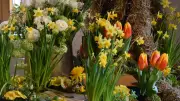 Beliebte Osterausstellung 'Floristisches zur Osterzeit' kehrt ins Petersberger Museum zurück