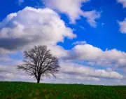 Berlin und Brandenburg: Sonnige Tage, frostige Nächte mit bis zu minus acht Grad