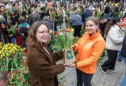 Berliner Tulpentag: Kostenlose Blumen locken Tausende auf den Breitscheidplatz