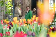 Blumenschau „Dresdner Frühling“ steuert auf Besucherrekord zu – Ministerpräsident zu Gast