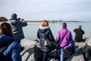 Bürgermeister verurteilt Wal-Tourismus an Ostsee: Rettung gestrandeten Wals behindert