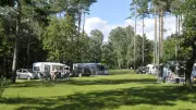 Camping in der Müritzregion wird teurer: Preiserhöhungen trotz hoher Nachfrage