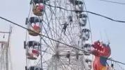 Chaos in Indien: Bienenschwarm greift Riesenrad-Besucher an – Gefährliche Flucht