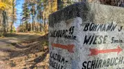 Dem Waldwandel auf der Spur: JKI Quedlinburg eröffnet Themenwanderweg im Harz