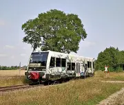 Dessau-Wörlitzer Eisenbahn startet Saison mit Frühlingserwachen und Themenfahrten