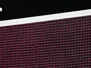 Deutscher Badminton-Verband sagt Teilnahme an Team-WM der Männer ab