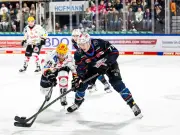 DF1 überträgt DEL-Playoffs live im Free-TV: Bis zu 21 Spiele der Saisonphase