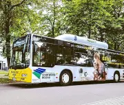 Dieselpreise über zwei Euro: Stadtwerke Dessau kämpfen mit massiven Mehrkosten