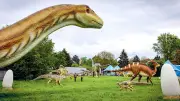 Dinosaurier-Ausstellung verwandelt Ascherslebener Herrenbreite in Urzeit-Wildnis