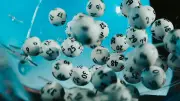 Dreifacher Lotto-Jubel: Drei Spieler knacken die Millionengrenze in Deutschland
