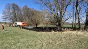 Dritter Vegetationsbrand in Dessau: Feuerwehr löscht 500 Quadratmeter Ödland in Möster Straße