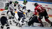 Eisbären Berlin: Die Gründe für den überraschenden Aufschwung im Eishockey
