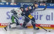 Eisbären Berlin vor Playoff-Start: Vertrauter Gegner Straubing Tigers wartet