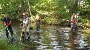 Elektrofischer-Team rettet Tausende Fische bei Renaturierung der Selke im Harz