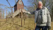 Ex-Pfälzer pflegt historische Reben im Ueckermünder Tierpark-Weinberg