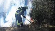Feuerwehr bekämpft ersten großen Vegetationsbrand der Saison in Aschersleben