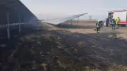 Feuerwehreinsatz in Löcknitz: Grasbrand in Solarpark an Bundesstraße 104