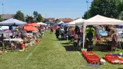 Flohmarkt-Marathon in Vorpommern: Wochenende voller Schnäppchen-Jagden