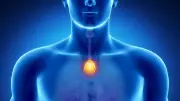 Forschung enthüllt: Schrumpfende Thymusdrüse könnte lebensrettende Funktion haben