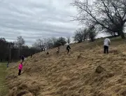 Freiwillige schützen seltenen Feld-Enzian im Saalekreis durch Pflegeeinsatz