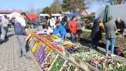 Frühlings- und Ostermarkt Blüthen: Traditioneller Saisonstart mit 50 Händlern und Bühnenprogramm