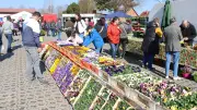 Frühlings- und Ostermarkt Blüthen: Traditioneller Saisonstart mit Blumenpracht und Festprogramm