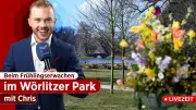 Frühlingserwachen im Gartenreich Dessau-Wörlitz: Live-Reporter Chris begleitet traditionellen Festumzug
