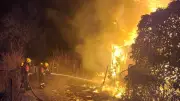 Gartenlaube in Sternberg bei Feuer komplett zerstört – Polizei ermittelt Brandstiftung